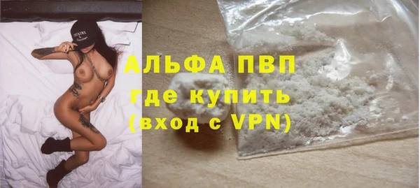 ПСИЛОЦИБИНОВЫЕ ГРИБЫ Осинники