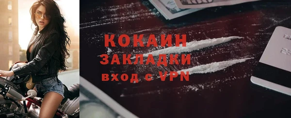 ПСИЛОЦИБИНОВЫЕ ГРИБЫ Осинники