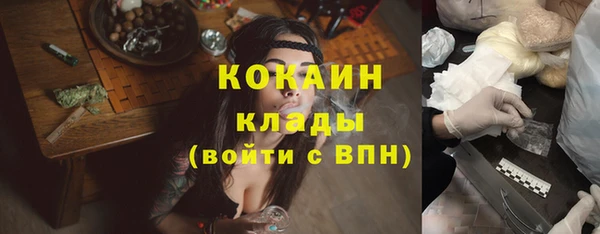 ПСИЛОЦИБИНОВЫЕ ГРИБЫ Осинники