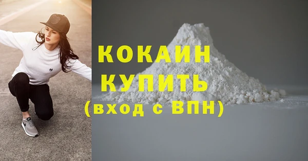 ПСИЛОЦИБИНОВЫЕ ГРИБЫ Осинники