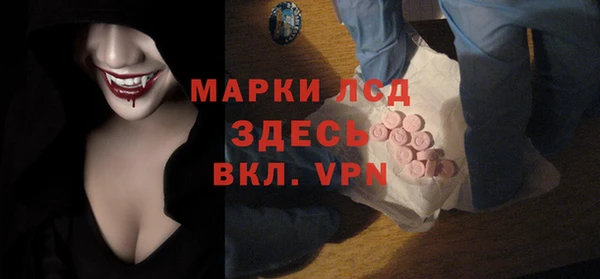 индика Ступино