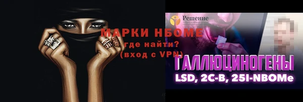 индика Ступино