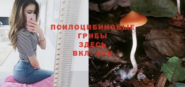 дживик Остров