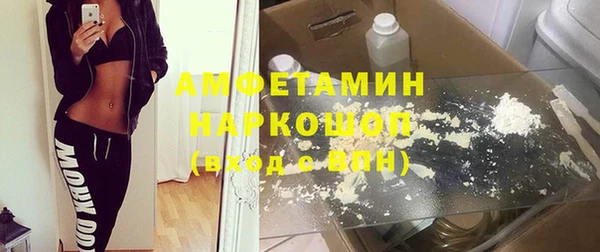 сатива Тайга