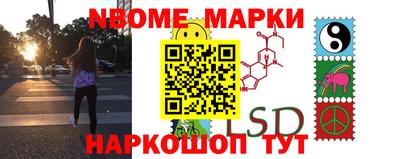 крисы Берёзовский